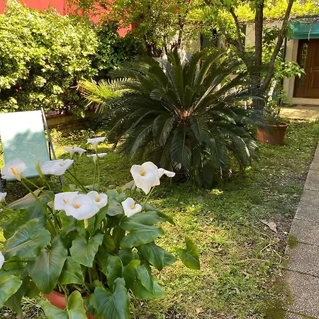 Rose House With Private Garden